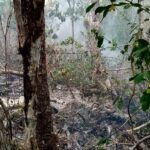 Se agrava desabasto de medicamentos