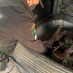 En pie organización de la FNSM 2022