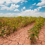 Maestra en Uruguay viaja 200 kilómetros al día para enseñar a dos niños en el campo