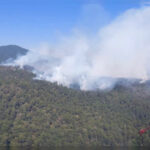 Primer ministro de Australia lamenta “trágica” muerte de sus connacionales en México